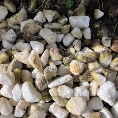 ガーデニング　白い石の画像