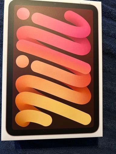 iPad mini 第6せ世代