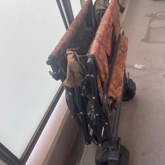 キャリーカーの画像