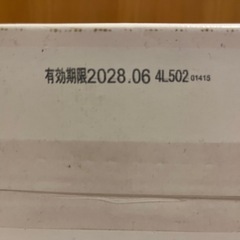 カイロ　30個の画像