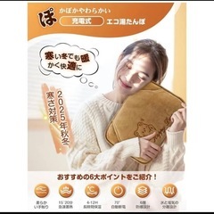 湯たんぽ ゆたんぽ 充電式 電気湯たんぽ 充電式湯たんぽ 4~12H長時間保温 省エネ 急速充電　保温カバー付き　の画像