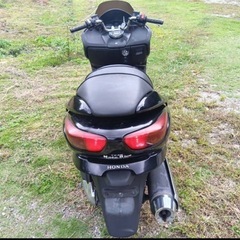 中型バイク250cc後期型フォルツァZの画像