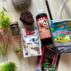 金魚飼育フルセット　の画像