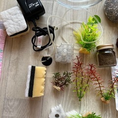 金魚飼育フルセット　の画像