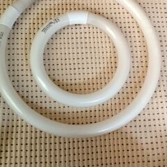 11月25日処分予定 蛍光灯の画像