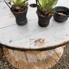 電線 ケーブル CVTドラム
の画像