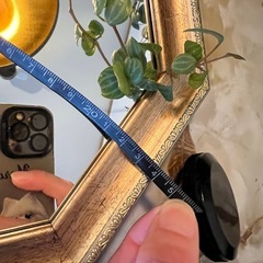 八角形　ミラー　鏡
の画像