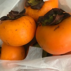 柿、焼きビーフン等の画像