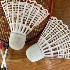 でっかいバトミントンのラケット2本&でっかいシャトル2個の画像