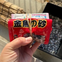 金魚　メダカ用　砂利の画像