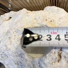 琉球石灰岩のキャンドルホルダーの画像