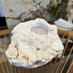 琉球石灰岩のキャンドルホルダーの画像