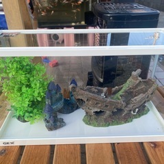 GEX45センチ水槽🐠美品の画像