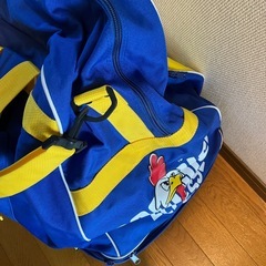 スキー　キャリーバック　エレッセの画像