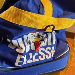 スキー　キャリーバック　エレッセの画像