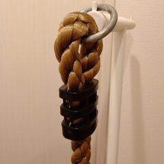 室内アスレチック遊具　2種類の画像