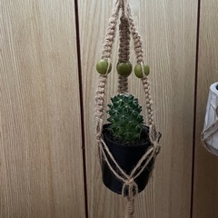 ミニプラントハンガー  ハンドメイドの画像