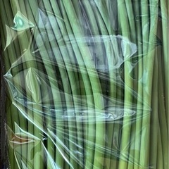 豊水梨1個の画像