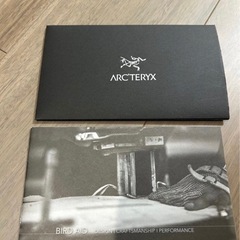 ARC ‘TERYX（アークテリクス） BEAMS Zeta SL レインボーの画像