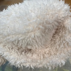 ゆきんこ帽子の画像