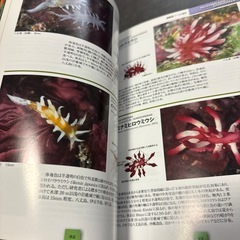 魚図鑑2冊の画像