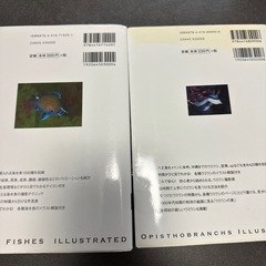 魚図鑑2冊の画像
