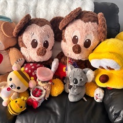 今月処分予定　ぬいぐるみの画像