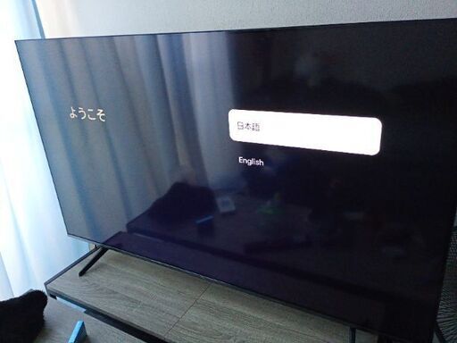 55インチテレビ  水戸市内か近辺のみ