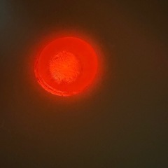 【中古•動作確認済み】コンビ　クイックウォーマーの画像