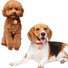 ペット/肉球チャーム（新品）オレンジの画像