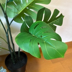 IKEA フェイクグリーンセットの画像