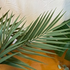 IKEA フェイクグリーンセットの画像