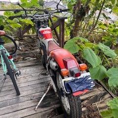 ホンダTLM200の画像