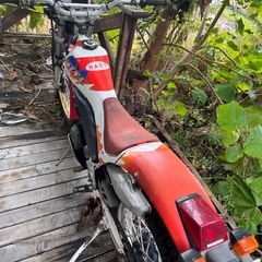 ホンダTLM200の画像