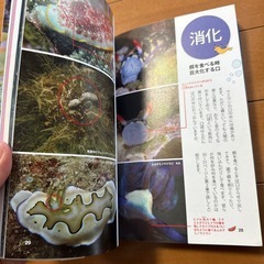魚図鑑の画像
