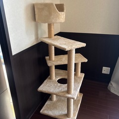 低め　キャットタワー　　の画像