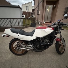 rz250r
の画像