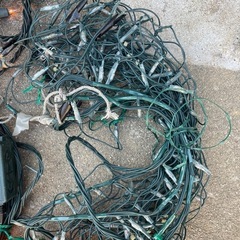 イルミネーション　クリスマスの画像