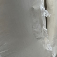 10月amazon購入　ほぼ未使用　
抱き枕の画像