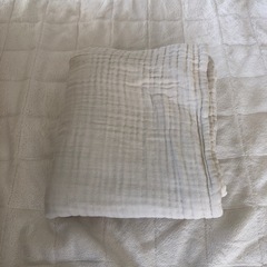 取引中ベッドインベッド　の画像