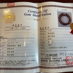 琥珀ネックレス•イヤリング　　鑑定書付き の画像