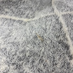 DCMのラグマット240×190サイズの画像