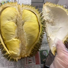 どりあんドリアンの画像