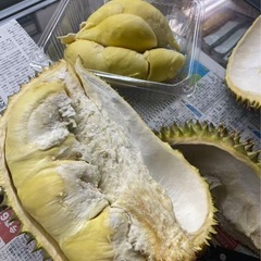 どりあんドリアンの画像