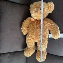 くまのぬいぐるみの画像