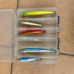 ルアー　海釣りの画像