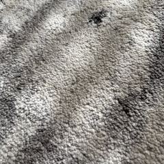 リビングマット　　マットラグ　の画像