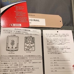 PLUG グレー キャリーケース TSAロック付き　ガンメタの画像