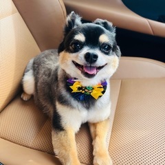 現場作業員さん&協力会社様👷募集中の画像