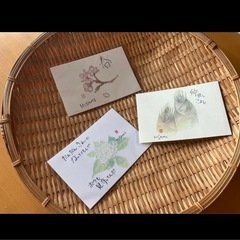 ポストカード 水彩画 春夏秋冬 6枚セットの画像